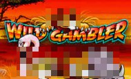 play Wild Gambler online slot